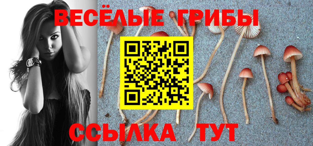 Галлюциногенные грибы Cubensis Новый Уренгой