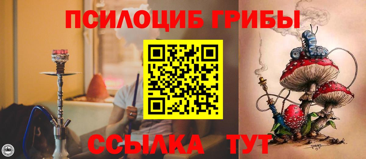 Галлюциногенные грибы Magic Shrooms  Галлюциногенные грибы Psilocybe  Вход с VPN  Новый Уренгой 
